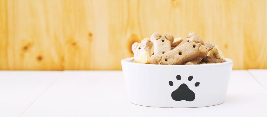 Une gamelle blanche remplie de biscuits pour chiens