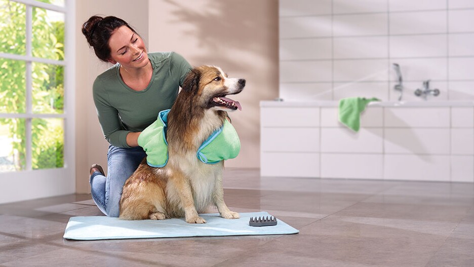 Nettoyant pour pattes de chien, Massage, toilettage, brosse de