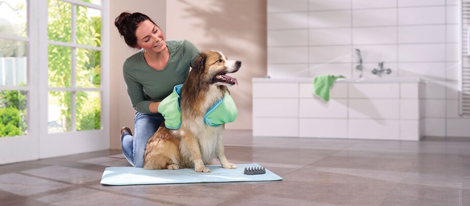 Ein Hund wird mit einer Shamponierbürste eingeschäumt