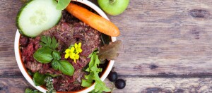 Schüssel mit frischem rohem Hackfleisch, Gurkenscheibe, Karotte, grünen Kräutern und Salat auf rustikalem Holztisch