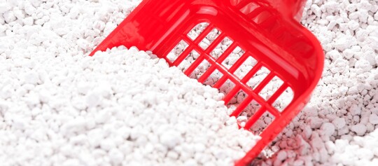 Rode plastic kattenbakschep met witte kattenbakvulling close-up