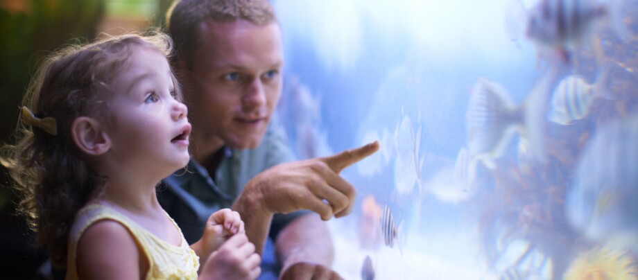 Ein Kind und dessen Vater stehen vor einem Aquarium.