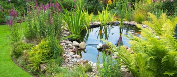 Teich Die richtige Filteranlage für den Garten FRESSNAPF