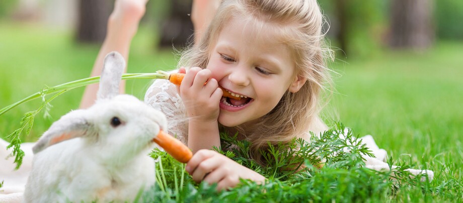 Ein Mädchen und ihr Hasen essen jeweils eine Karotte.