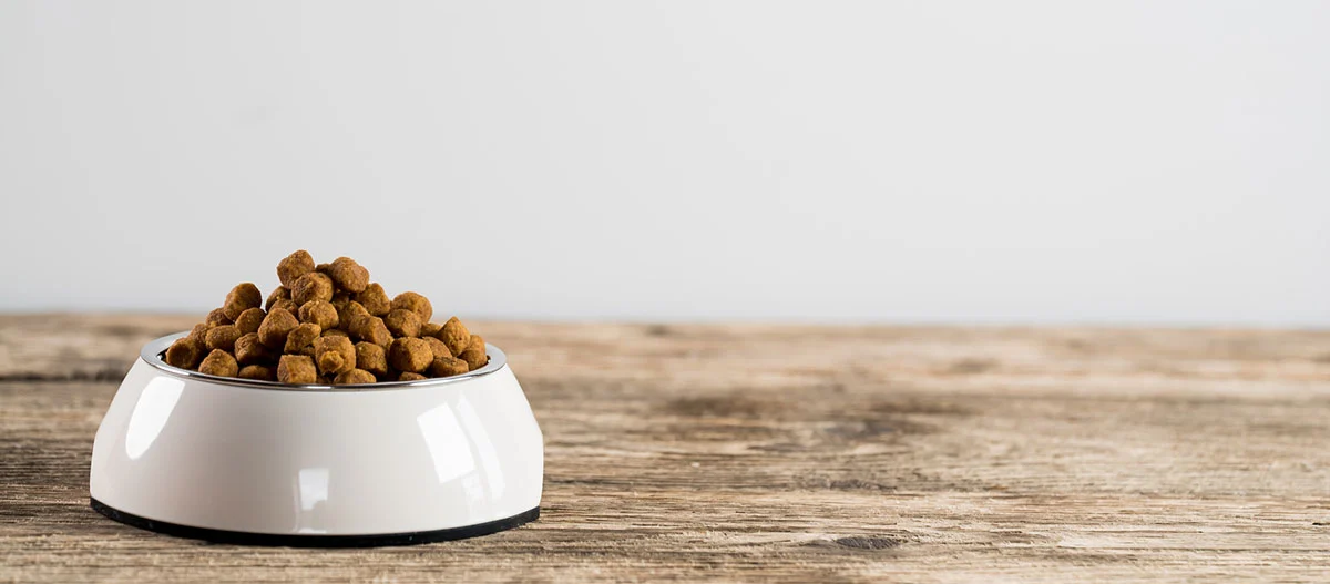 Weißer Futternapf mit trockenem Hundefutter auf rustikalem Holztisch vor hellem Hintergrund