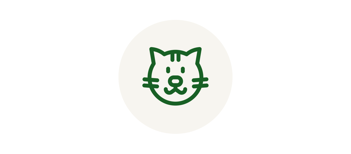 Icon Katze Rassen Icon Katze Rassen