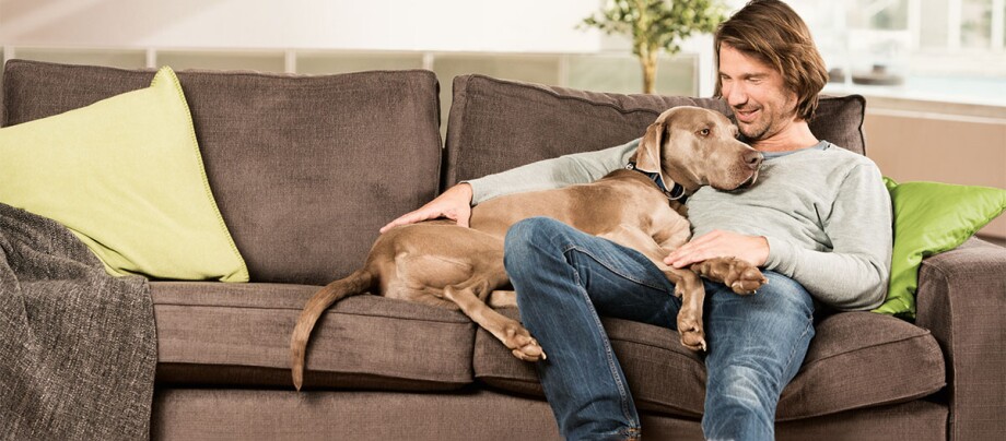 Ein Hund liegt mit seinem Besitzer auf der Couch