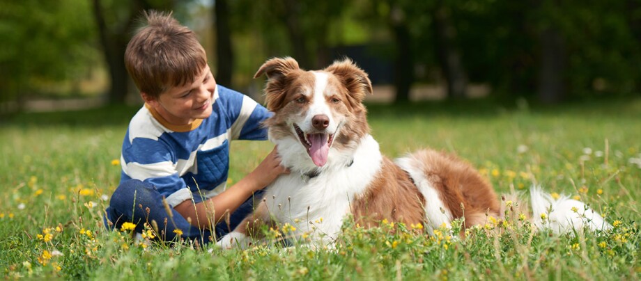 Chłopiec głaszcze psa, gdy obaj siedzą na trawniku