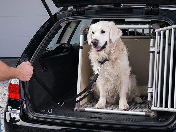 Siège auto, sac vert de transport pour chien, taille M pour chiens de  petite et moyenne taille –