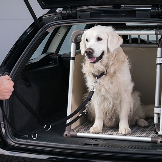 Hundegurt für das Auto - denn Anschnallen ist Pflicht! Ratgeber