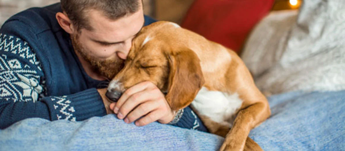 Homme câlinant tendrement son chien marron sur une couverture bleue dans un cadre chaleureux