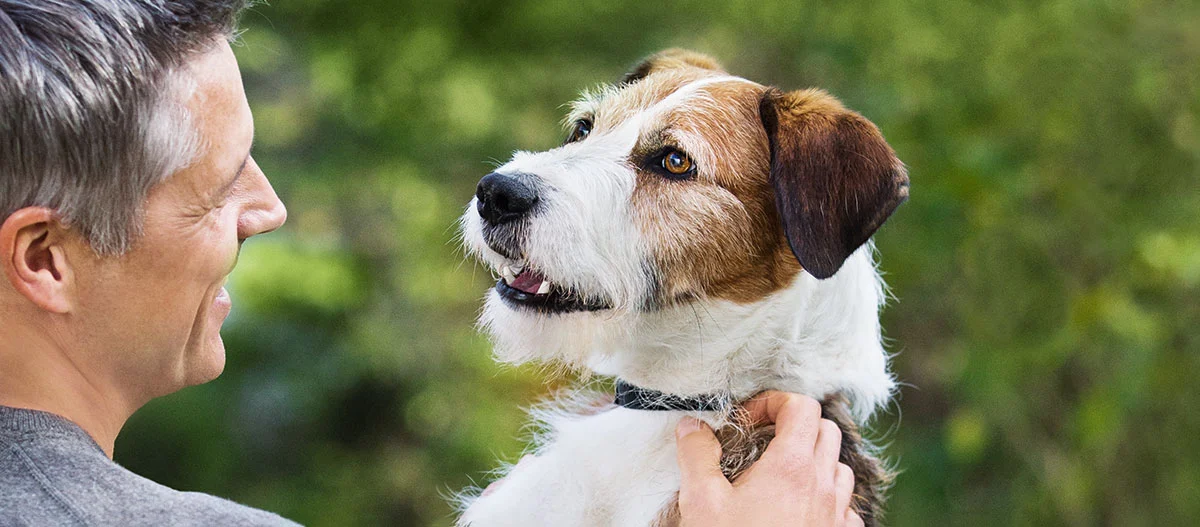 Mann streichelt liebevoll einen braun-weißen Hund im Freien, freundschaftliche Interaktion im Park
