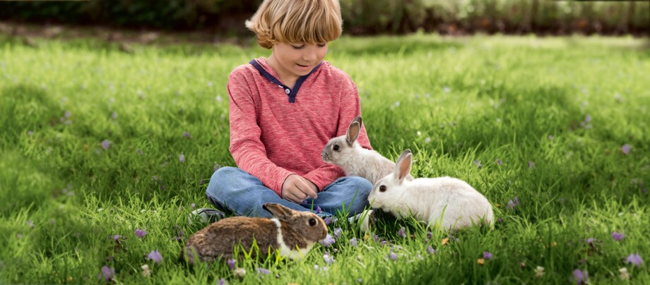 Ein Junge sitzt auf der Wiese mit drei Kaninchen.