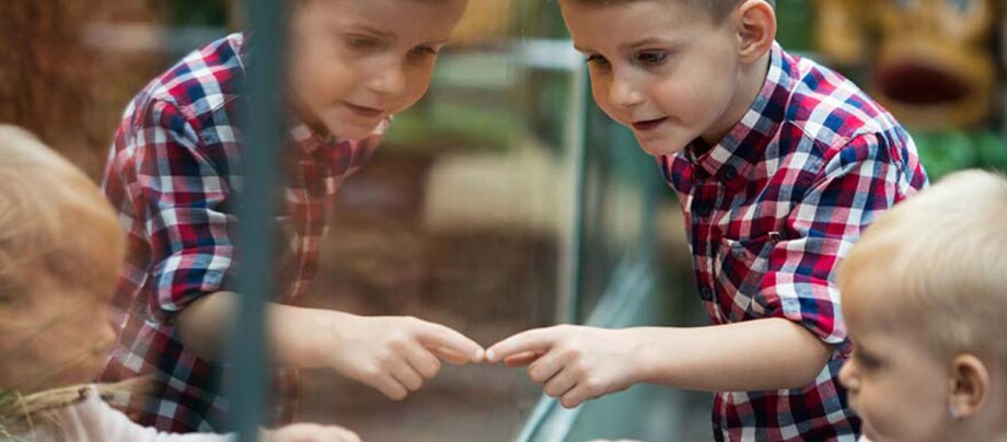 Kinder stehen vor einem Aquarium.