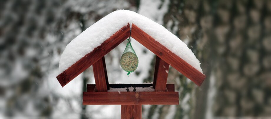 Ein Vogelhaus im Winter.