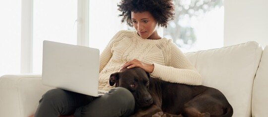 Jeune femme travaille sur un ordinateur portable sur le canapé en caressant son chien noir