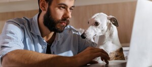 Homme travaillant sur un ordinateur portable avec un chien curieux à ses côtés dans un intérieur confortable
