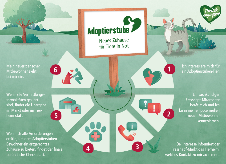 1.3_Adoptieren_Infografik_desktop_960x700_Grafik-24_CSR-2019 Tierisch engagiert Adoptiertstuben