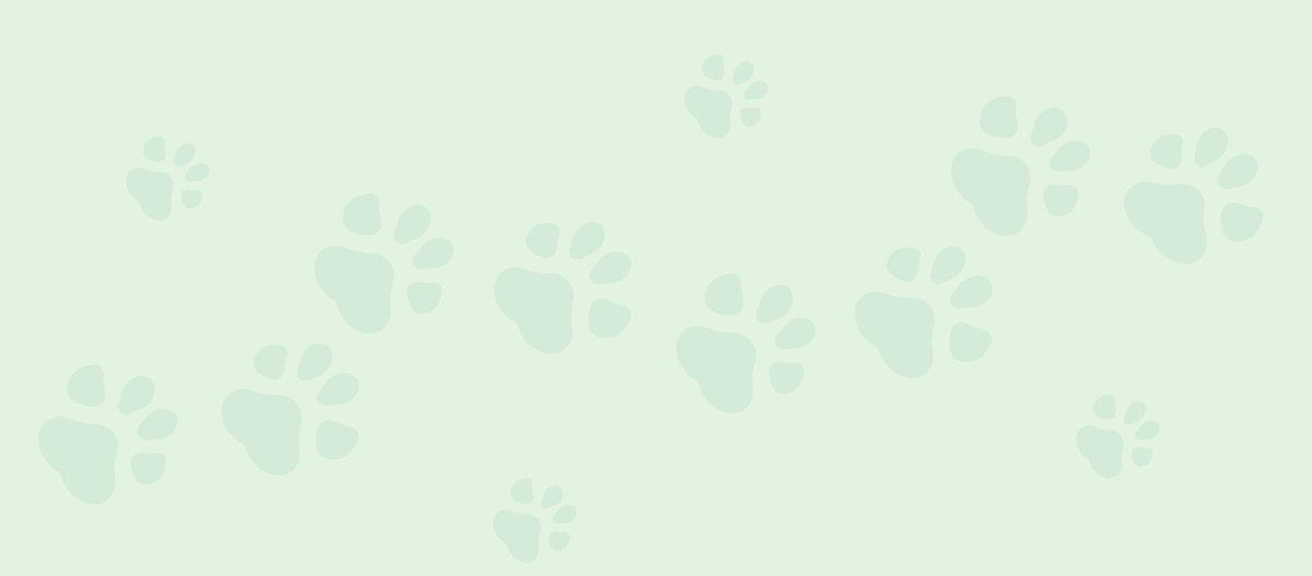 Tierisch engagiert hintergrund