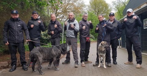 Tierisch engagiert harte hunde