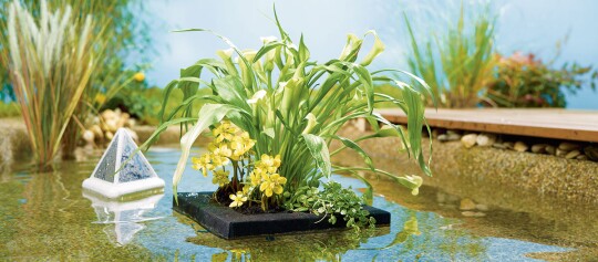 Ein Gartenteich.