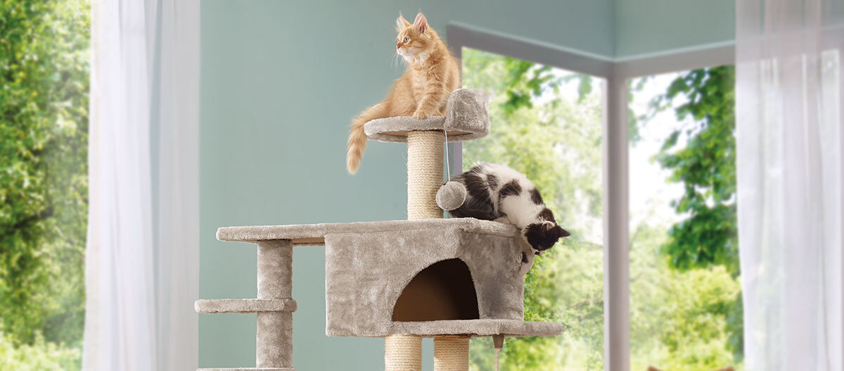 Stabiler Kratzbaum mit mehreren Ebenen – Perfekter Kletter- und Ruheplatz für Katzen Zwei Katzen entspannen sich auf einem mehrstöckigen, beigen Kratzbaum vor einem großen Fenster mit Blick ins Grüne. Eine orangefarbene Katze sitzt oben, während eine schwarz-weiße Katze an der Seite liegt.