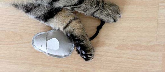 Tabby-Katzenpfoten auf hellem Holzfußboden neben grauem Stoffmausspielzeug mit schwarzer Schnur
