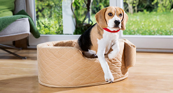 Repos des chiens botanic® : tapis, matelas, plaids, coussins, corbeilles et paniers  pour chien
