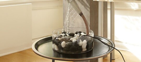 Eine selbstgebaute Vogeldusche