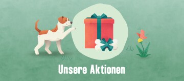 Niedlicher braun-weißer Hund steht vor einem roten Geschenk mit blauem Band und Knochen-Dekoration, Text