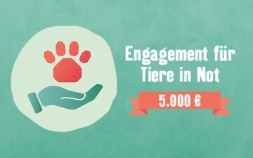 Tierisch engagiert Goldener FN
