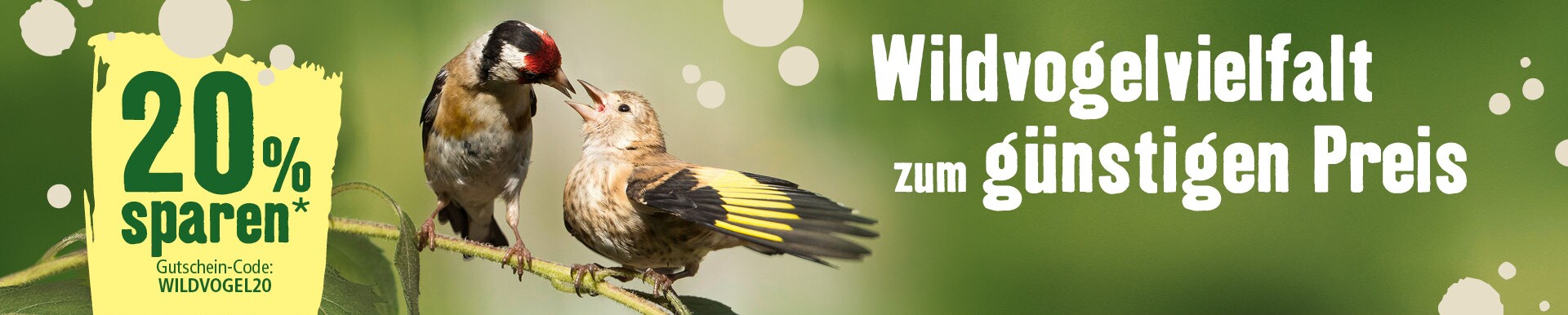 20% Gutschein - Wildvogelvielfalt zum günstigen Preis
