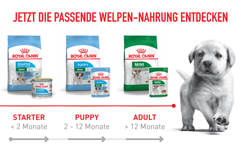 Jetzt die passende Welpen-Nahrung entdecken