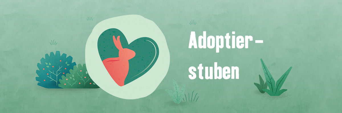 TE_adoptierstuben_1200x397 Tierisch engagiert Adoptierstuben