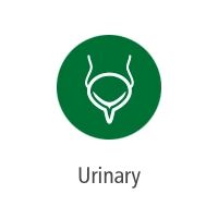 Icon - Urinary