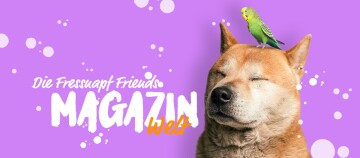 Zufriedener Hund mit geschlossenen Augen und einem grünen Wellensittich auf dem Kopf vor lila Hintergrund mit dem Schriftzug