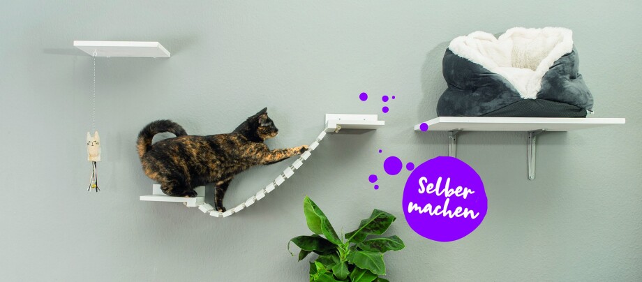 DIY Catwalk Magazin