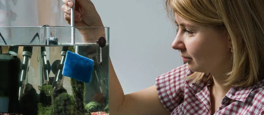 Frau reinigt Aquarium mit blauem Schwamm und langem Griff, pflegt Wasserpflanzen und Aquarientechnik