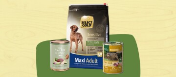 Futter für jede Lebensphase Ihres Hundes - Adult