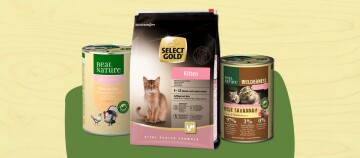 Futter für jede Lebensphase - Kitten
