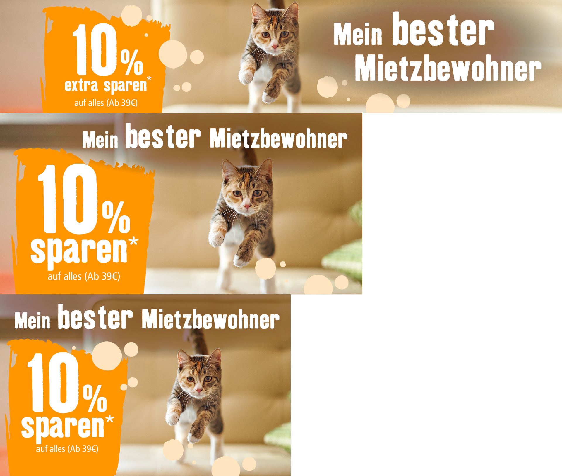 KW39_Mitbewohner_OS_DE.PLP_Katze Mein bester Mietzbewohner - 10% Rabatt