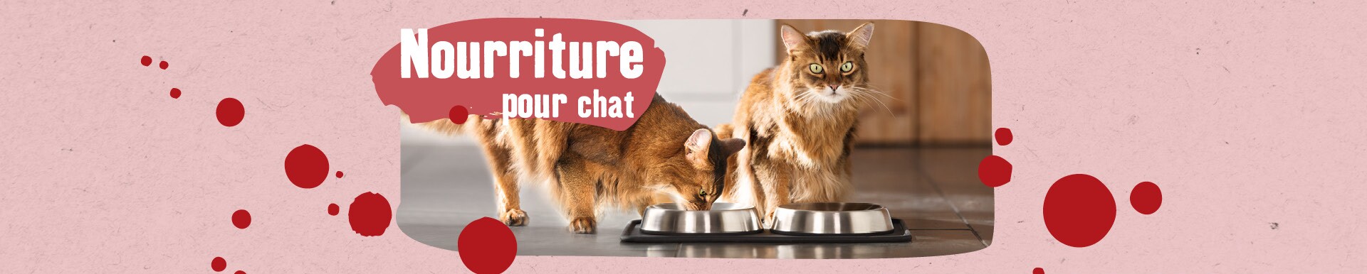 Accessoires Et Articles Pour Chats Maxi Zoo Accessoires Et Articles Pour Chats Maxi Zoo