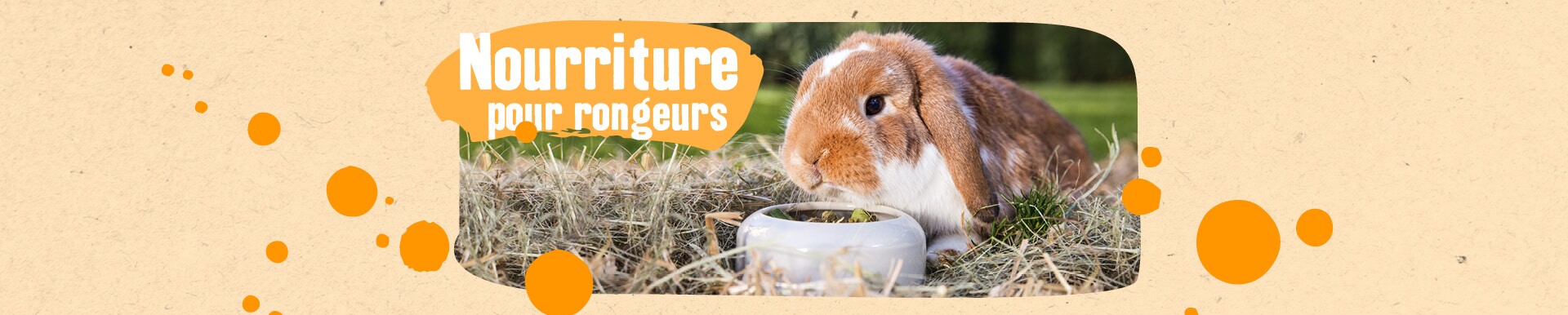 Accessoires Pour Petits Animaux Maxi Zoo