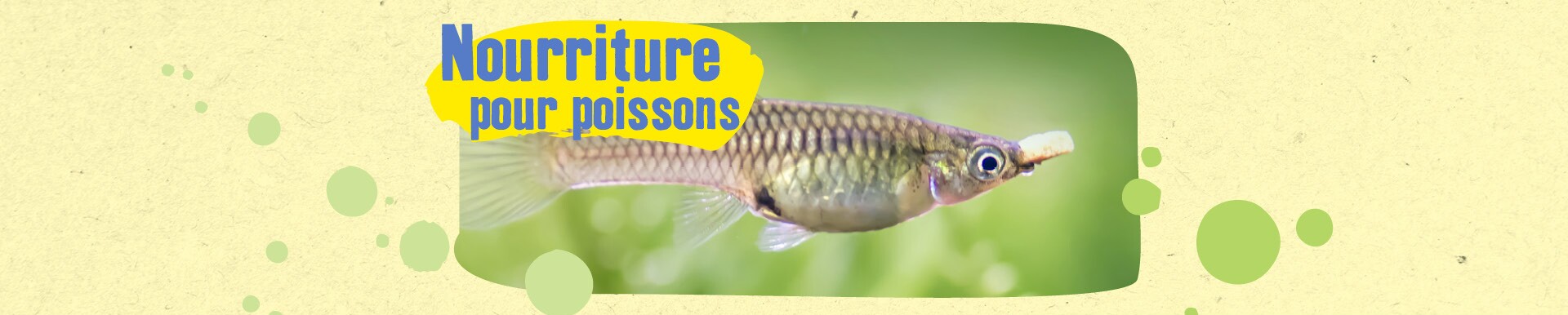 Accessoires Et Des Fournitures D Aquarium Maxi Zoo Accessoires Et Des Fournitures D Aquarium Maxi Zoo