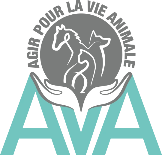 AVA