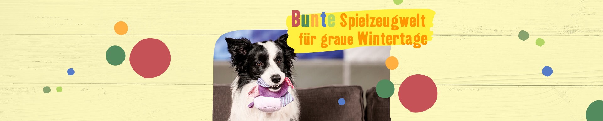 Hundezubehor Hundebedarf Im Hundeshop Kaufen Fressnapf