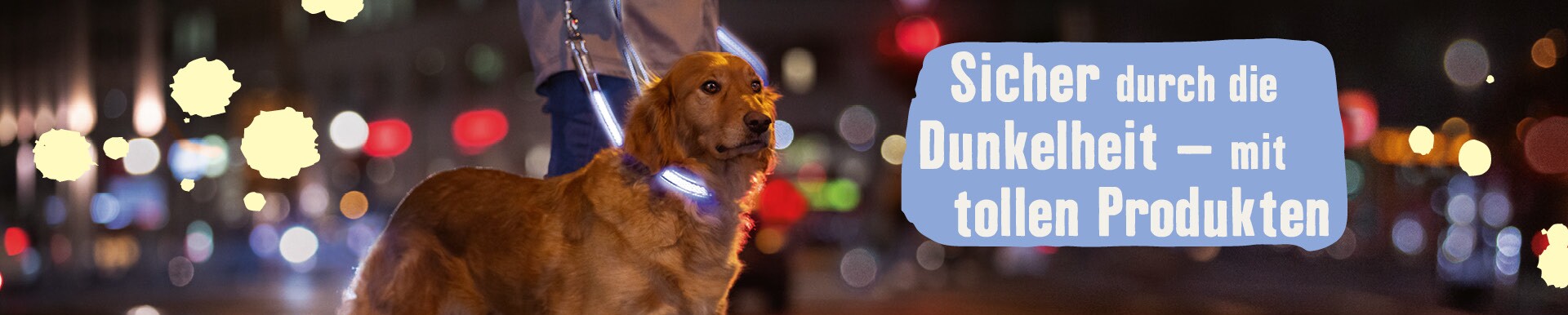 Sicher durch die Dunkelheit mit Hund - mit Leuchthalsbändern, Leuchtanhängern und Co.