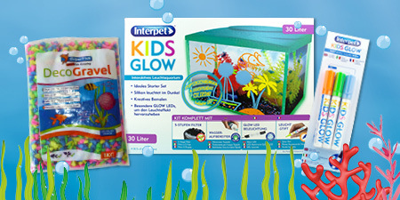 DE_KW44_Aqua_Kids_Special_SG_OS.6er_4 Für kreative Aqua Kinder Köpfe