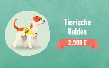 Goldener Fressnapf Preisgeld