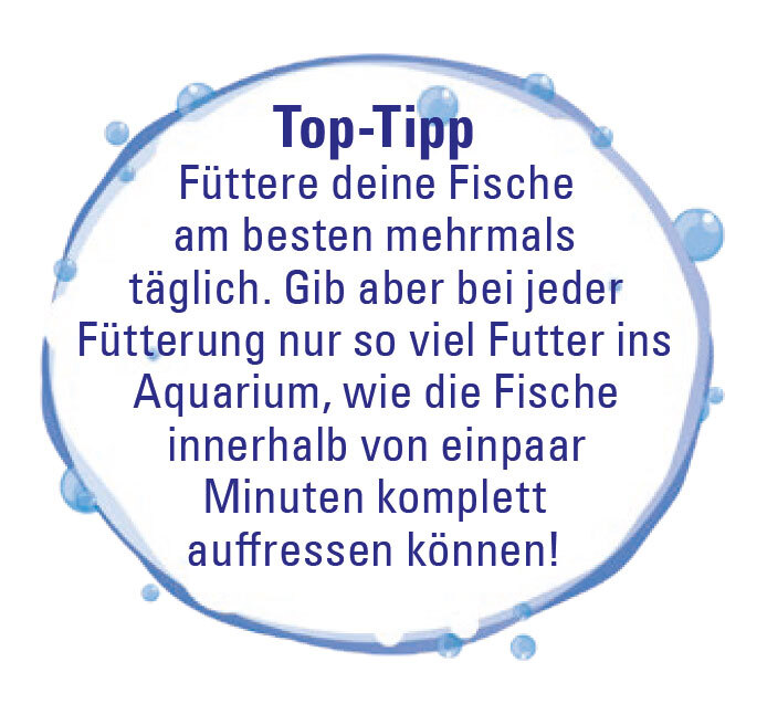 Tipps für Kinder